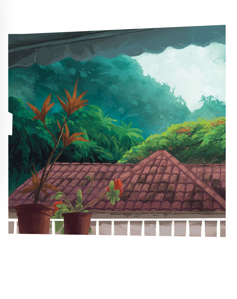 View From Grandma’s